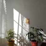 Tips for Creating a Relaxing Home Office Environment