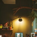 Tips for Creating a Cozy and Inviting Home Office Space