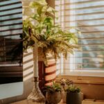 How to Create a Cozy and Productive Home Workspace